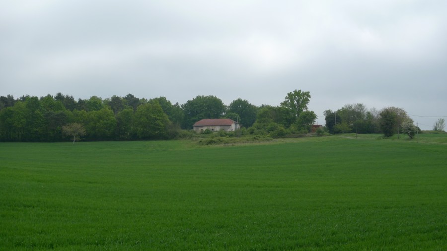 barn conversion, 18th century, timber frame, oak frame, renovation, French barn