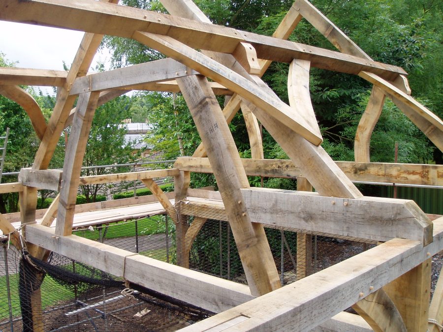 timber frame, carpenter, France, oak frame, green oak